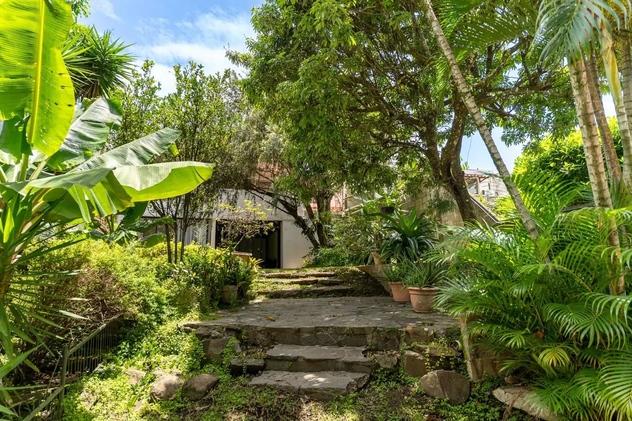 Jardín tropical de Casa Lúmina