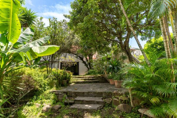 Jardin